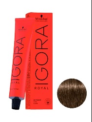 IGORA ROYAL T. 6.00