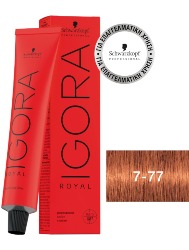 IGORA ROYAL T. 7.77
