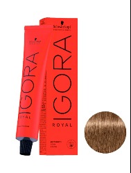 IGORA ROYAL T. 8.00