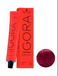 IGORA ROYAL T. 9.98