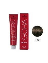IGORA ROYAL T. 5.63