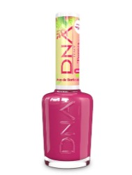 DNA ITALY ESM FLORESTA ENCANTADA ASAS DE BORBOLETA