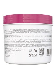 RICHEE BIOBTX REPOSITOR DE MASSA 500G