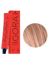 IGORA ROYAL T. 9.5-49