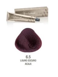 EVOLUTION T. 6.5