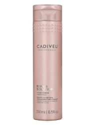 CADIVEU REPAIR SOLUTION COND 250ML