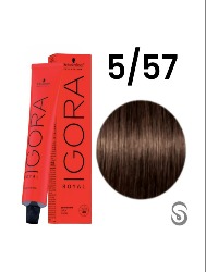 IGORA ROYAL T. 5.57