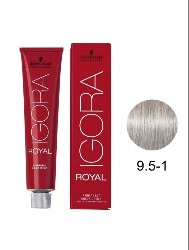 IGORA ROYAL T. 9.5-1