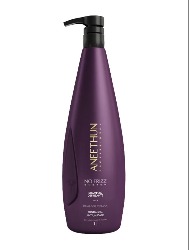 ANEETHUN SHAMPOO NO FRIZZ SYSTEM 1L