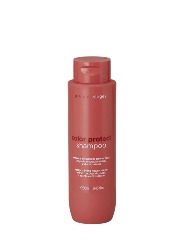 BRAE STAGES COLOR PROTECT SHAMPOO 250ML