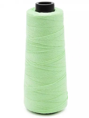 0015 LINHA RAYZA ARTESANATO 500M 100%PP