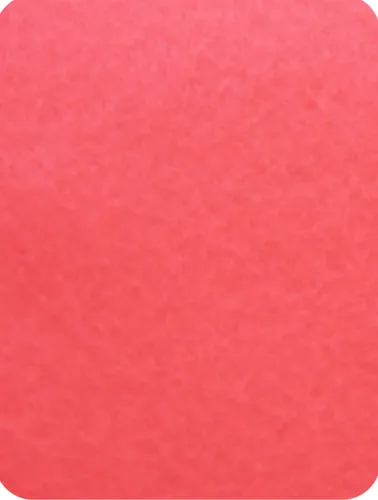 *CORAL FELTRO OBER 1M 100%PES