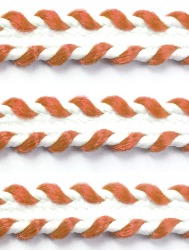 0131 PASSAMANARIA SAOJOSE 7864 10M 72%PP