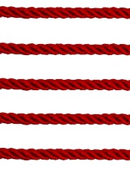 0003 CORDAO SAOJOSE 02/15 10M 61%CO