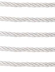 0001 CORDAO SAOJOSE 02/15 10M 100%CO