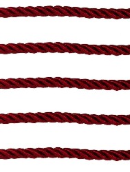 0015 CORDAO SAOJOSE 02/15 10M 61%CO