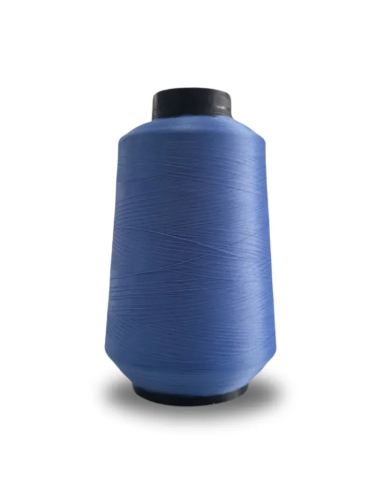 0227 FIO OVERLOCK LINHANYL 100G 100%PES