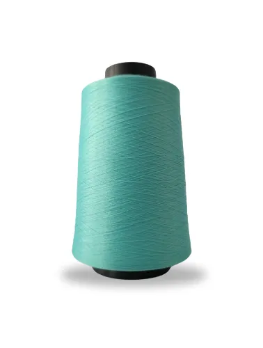 0089 FIO OVERLOCK LINHANYL 100G 100%PES