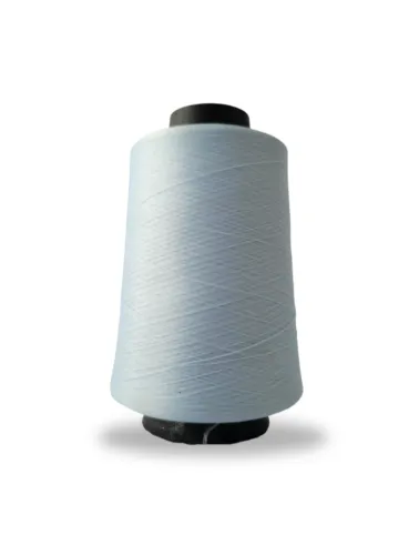 1561 FIO OVERLOCK LINHANYL 100G 100%PES