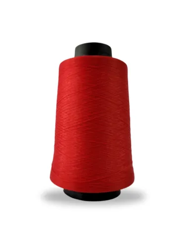0214 FIO OVERLOCK LINHANYL 100G 100%PES