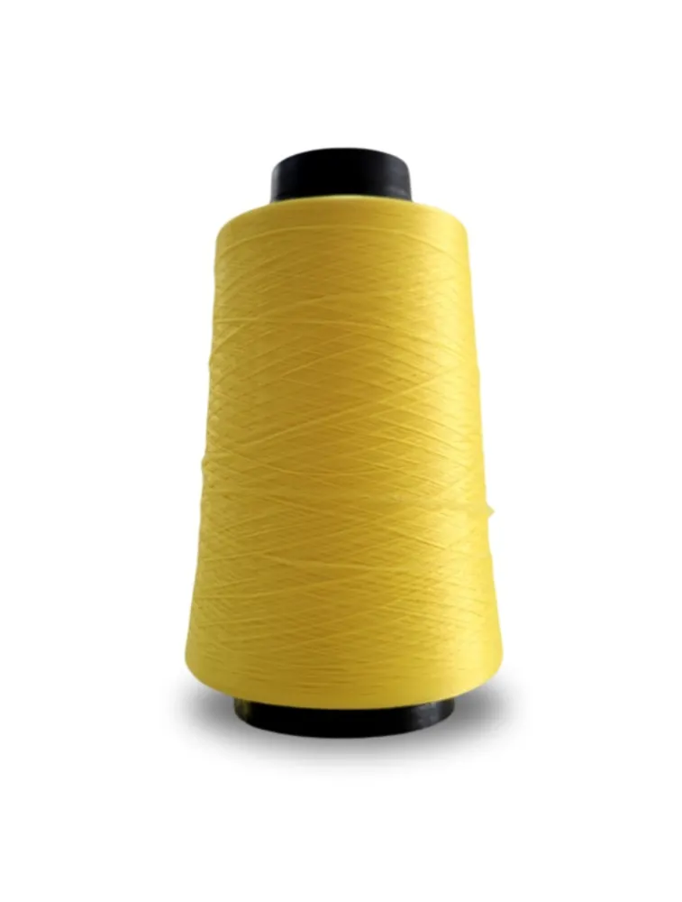 0204 FIO OVERLOCK LINHANYL 100G 100%PES