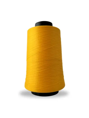 5230 FIO OVERLOCK LINHANYL 100G 100%PES