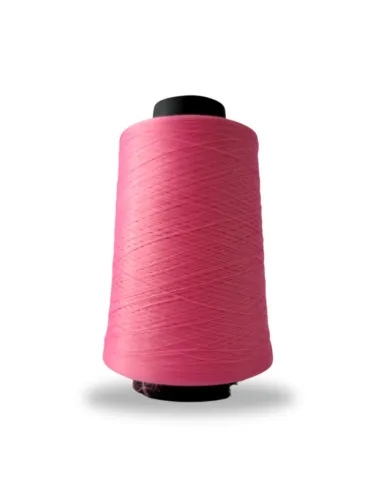 0210 FIO OVERLOCK LINHANYL 100G 100%PES