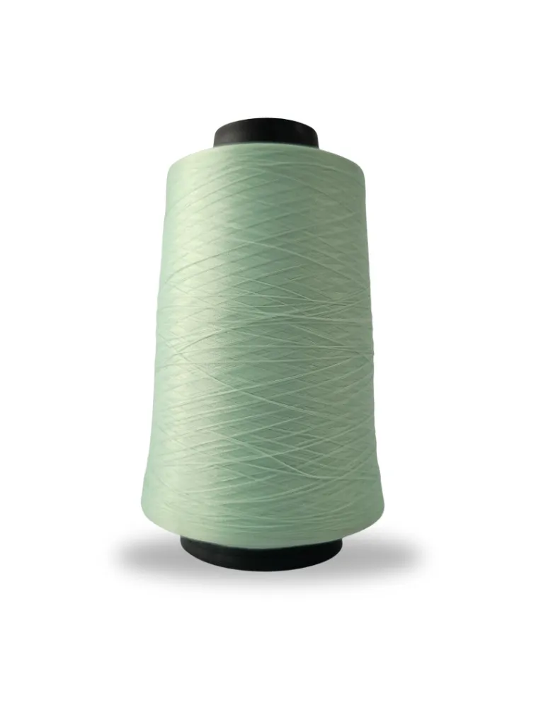 1554 FIO OVERLOCK LINHANYL 100G 100%PES