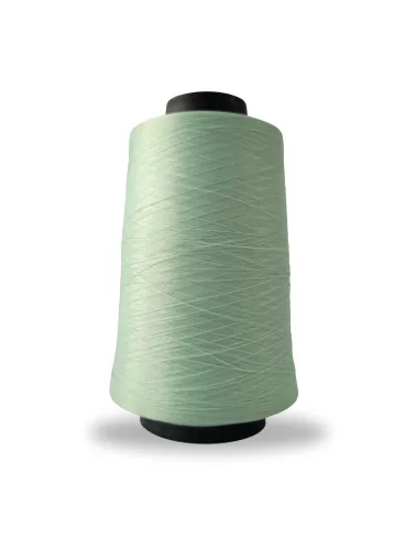 1554 FIO OVERLOCK LINHANYL 100G 100%PES