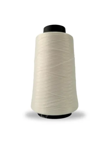 8001 FIO OVERLOCK LINHANYL 100G 100%PES