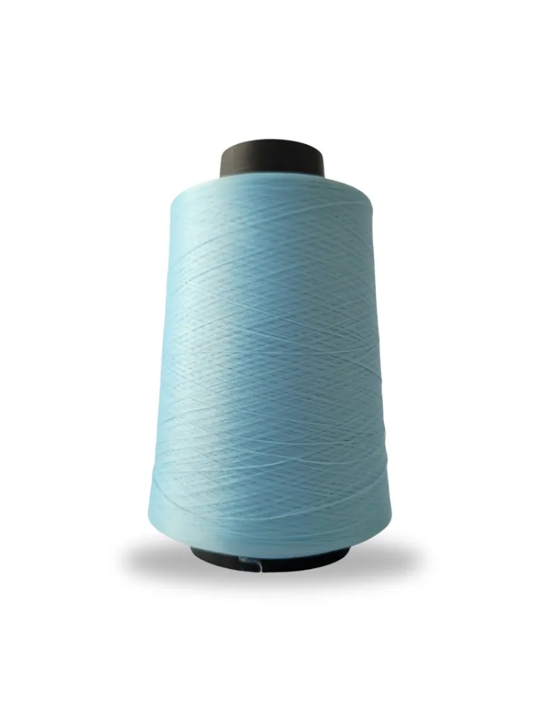 0815 FIO OVERLOCK LINHANYL 100G 100%PES