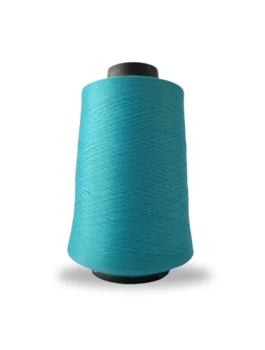 2019 FIO OVERLOCK LINHANYL 100G 100%PES