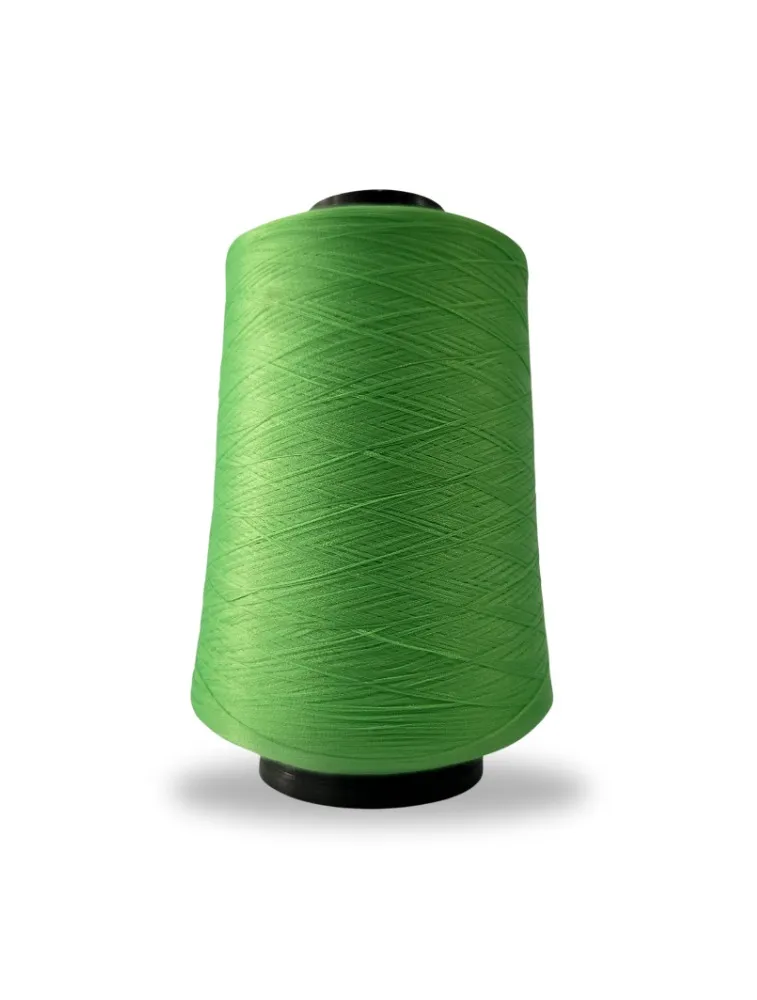 1002 FIO OVERLOCK LINHANYL 100G 100%PES