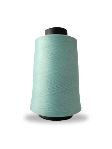 1226 FIO OVERLOCK LINHANYL 100G 100%PES