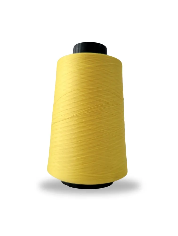 1024 FIO OVERLOCK LINHANYL 100G 100%PES