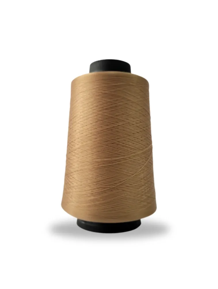 0259 FIO OVERLOCK LINHANYL 100G 100%PES