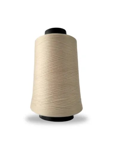 0248 FIO OVERLOCK LINHANYL 100G 100%PES