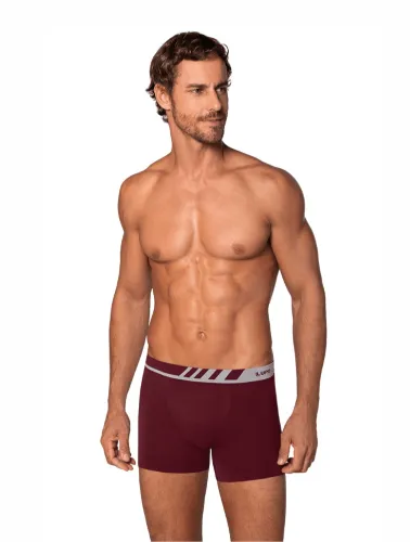 5940 CUECA LUPO BOXER AM 0671 PEQ.
