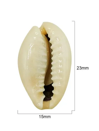 MICANGA BUZIO NATURAL TOKBIJOUXS 18X12 500G 100%PP