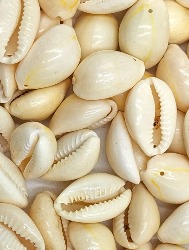 MICANGA BUZIO NATURAL TOKBIJOUXS 18X12 500G 100%PP