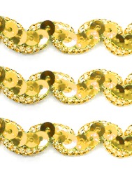 DOU. PASSAMANARIA ROMA METALIZADA 151127 1,2CM 13,71M 100%PES