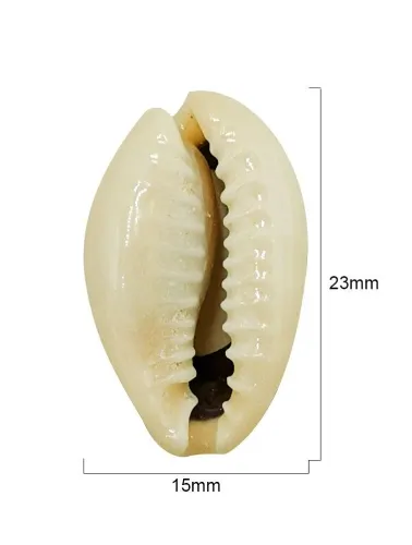 MICANGA BUZIO NATURAL TOKBIJOUXS 18X12 500G 100%PP