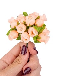 0147 ROSINHA NYBC N10 C144 100%PES