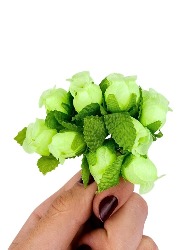 0225 ROSINHA NYBC N10 C144 100%PES 