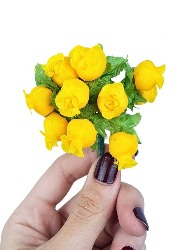 0110 ROSINHA NYBC N10 C144 100%PES