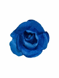 0169 FLOR ARTEPUNTO 002 C144