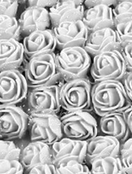 0067 FLOR ROMA EVA 150174 2,5CM C144