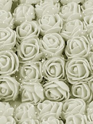 0004 FLOR ROMA EVA 150174 2,5CM C144