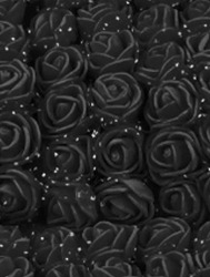 0044 FLOR ROMA EVA 150174 2,5CM C144