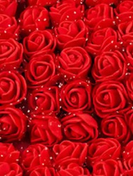 0036 FLOR ROMA EVA 150174 2,5CM C144